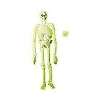 Laboratory Skeleton Gid 150cm Accessory For Halloween Living Dead Fancy Dress