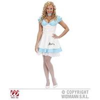 Ladies Malice Costume Medium Uk 10-12 For Wonderland Fairytale Fancy Dress