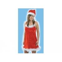 Ladies Santa Dress & Hat Costume