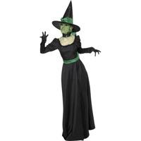 Large Adult\'s Witch Costume