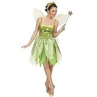 Ladies Forest Fairy Costume For Neverland Fairytale Fancy Dress