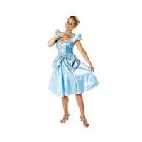 Ladies Disney Cinderella Costume