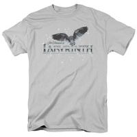 Labyrinth - Owl Logo