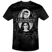 labyrinth maze black back