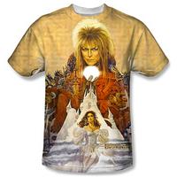 Labyrinth - Cover Art