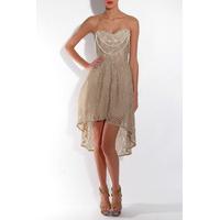 Lace Dip Hem Dress