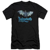 labyrinth title sequence slim fit