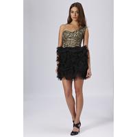 lace tu tu ballerina dress