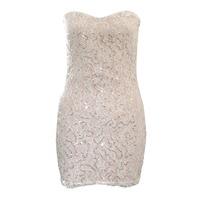 Lace Sequin Tube Dress