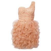 Lace Tutu Ballerina Dress