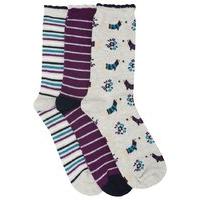 Ladies Soft Cotton Rich Sausage Dog and Stripe Pattern Ankle Socks 3 Pack - Multicolour