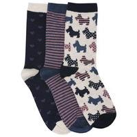 Ladies Cotton Rich Pack of 3 Scotty Dog Hearts and Stripe Print Ankle Socks - Multicolour