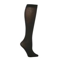 Ladies 1 Pair Trasparenze Liscio Plain Cotton Knee High Socks