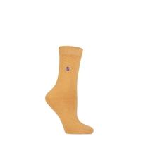 ladies 1 pair sockshop colour burst cotton socks