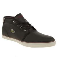 Lacoste Ampthill Mts