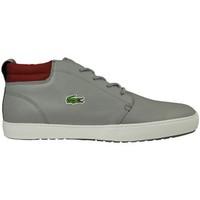 lacoste ampthill terra 316 1 spm gry mens shoes trainers in white