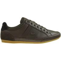 lacoste chaymon 116 1 spm dk brwblk mens shoes trainers in brown