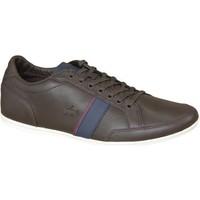 lacoste alisos 116 cam mens shoes trainers in brown