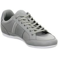 Lacoste Chaymon 116 1 men\'s Shoes in Grey