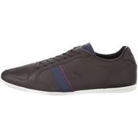 lacoste alisos 116 1 cam dk brw mens shoes trainers in multicolour