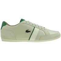 lacoste alisos 117 1 cam off wht mens shoes trainers in white