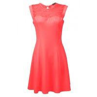 LACE INSERT A-LINE SKATER DRS