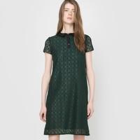 Lace Dress with Shirt Collar