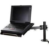 Laptop stand NewStar Products NOTEBOOK-D100 Tiltable, Height-adjustable