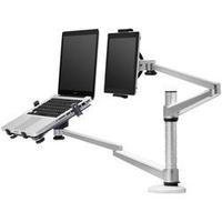Laptop stand NewStar Products NOTEBOOK-D300 Tiltable, Height-adjustable