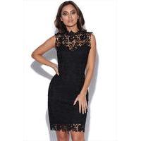 Lace Overlay Collar Dress