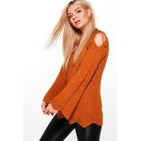 Lace Shoulder Flute Sleeve Jumper - burnt orange