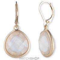 Ladies Lonna And Lilly Gold Plated Mother of Pearl Earrings 60451923-I15