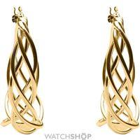 Ladies Anne Klein Gold Plated Earrings 60355817-887