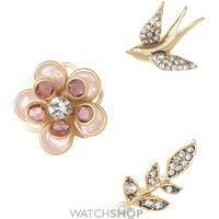 Ladies Lonna And Lilly Rose Gold Plated Earrings and Brooch Set 60460939-2GR
