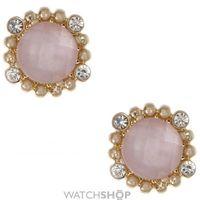 Ladies Lonna And Lilly Gold Plated Stud Earrings 60460980-2GR