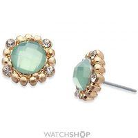 Ladies Lonna And Lilly Gold Plated Stud Earrings 60460979-900