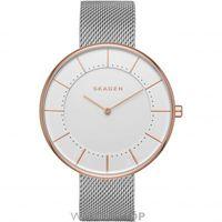 Ladies Skagen Gitte Watch SKW2583