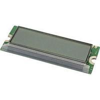 LCD Green (W x H x D) 26 x 6.5 x 66 mm LUMEX