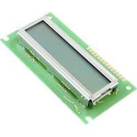 LCD Green (W x H x D) 36 x 12.7 x 80 mm LUMEX