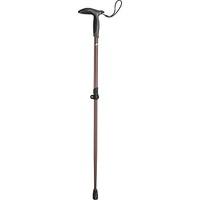 leki citysen vario walking pole