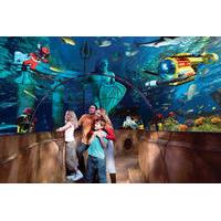 Legoland with SeaLife Aquarium with Transportation from Anaheim