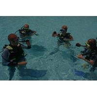 learn to scuba dive padi open water course