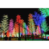 led forest i city and snow walk in shah alam including putrajaya sight ...