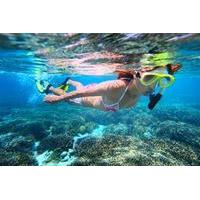 Leeward Coast Dolphin and Snorkel Half-Day Cruise