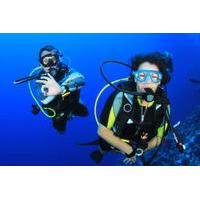 learn to dive padi open water diver course