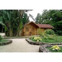 LE DOMAINE DE LâARBRE DU VO...