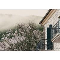 LEVIDI SUITES
