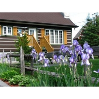 Le Pimbina Spa & Massage