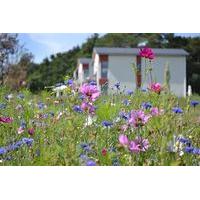 Les Hauts de Toulvern