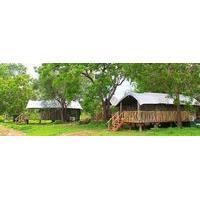 Leopard Yala Luxury Camping